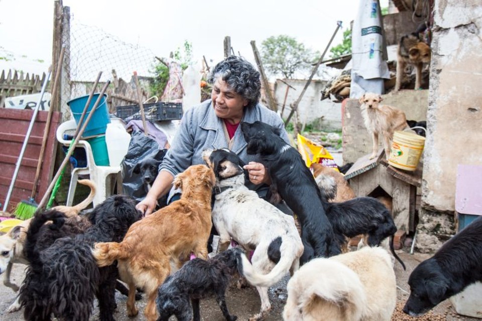 Maria Cristina Gomes começou a recolher cães da rua há dez anos: Não tenho medo, pego até sarna deles | Brunno Covello/Gazeta do Povo