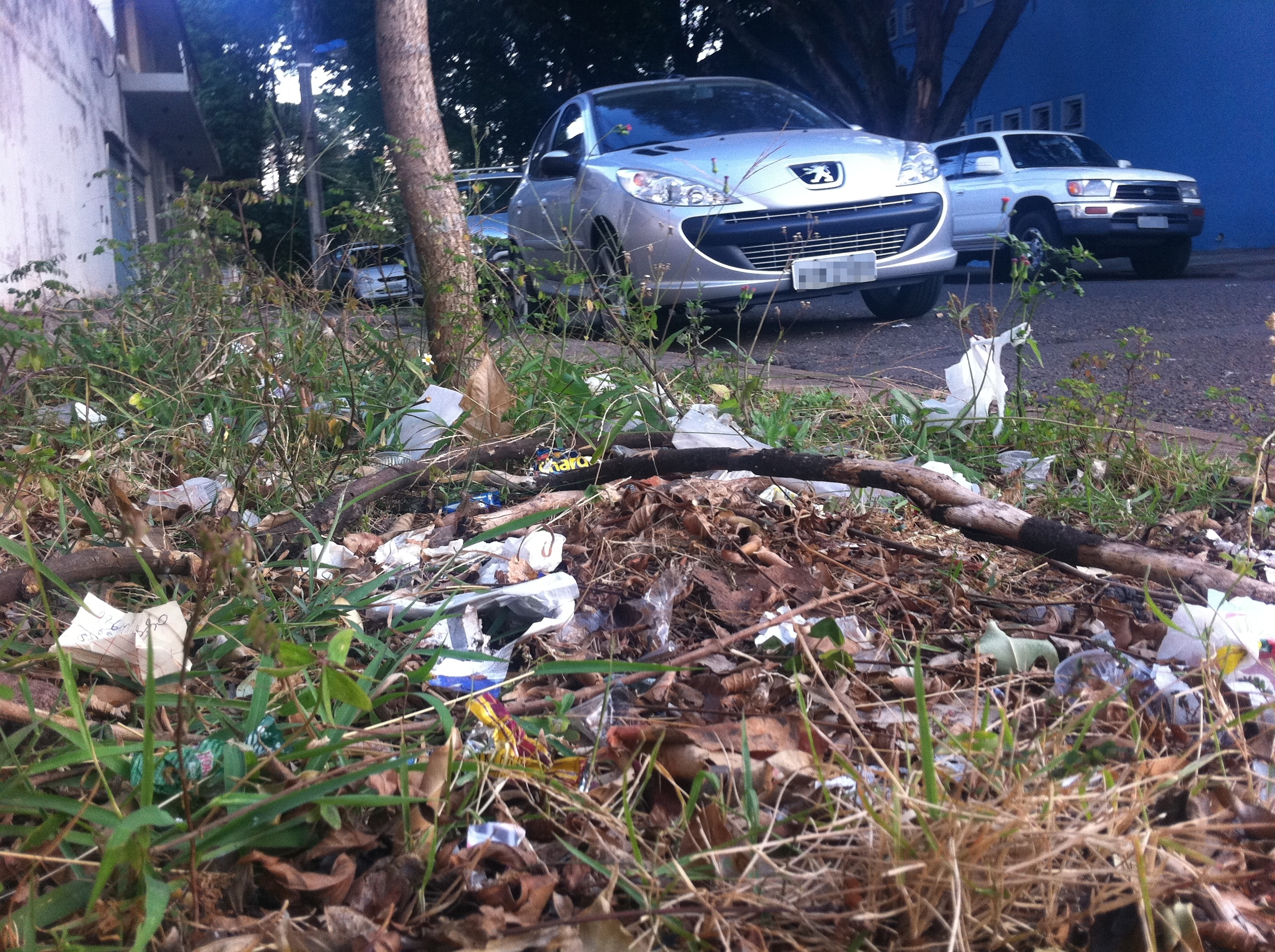  | Marcus Ayres/Gazeta Maringá