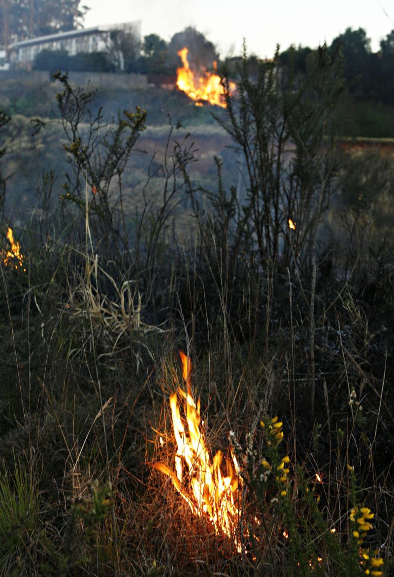 Estado já teve 3,7 mil focos de incêndio em 2013 | Josué Teixeira/ Gazeta do Povo