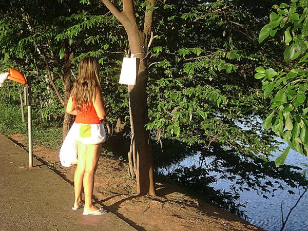 | Reprodução da internet