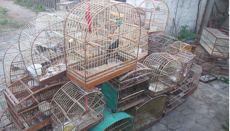 Cativeiro clandestino foi descoberto em residência no Umbará | divulgação/BPMA