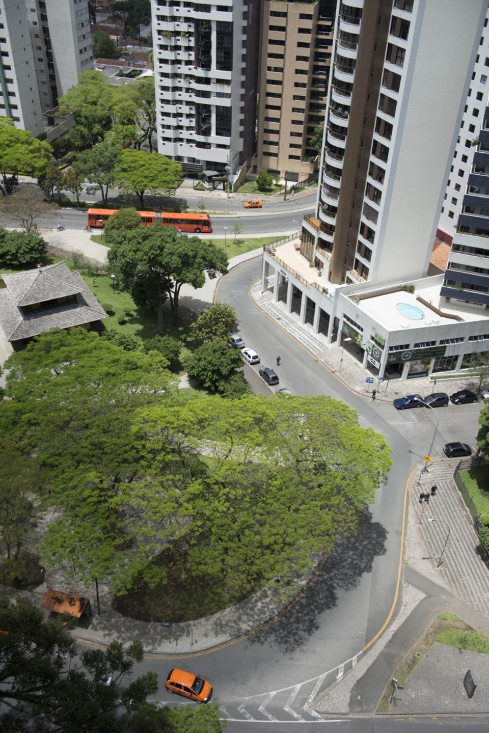 Cerejeiras seriam retiradas para dar espaço aos ônibus | Henry Milleo/ Gazeta do Povo