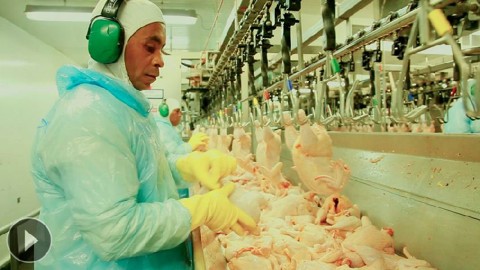 Consumo dá asas à Copacol |