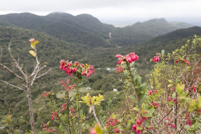 No caminho para a Usina de Chaminé, o Morro Redondo chama a atenção com uma rápida trilha | 