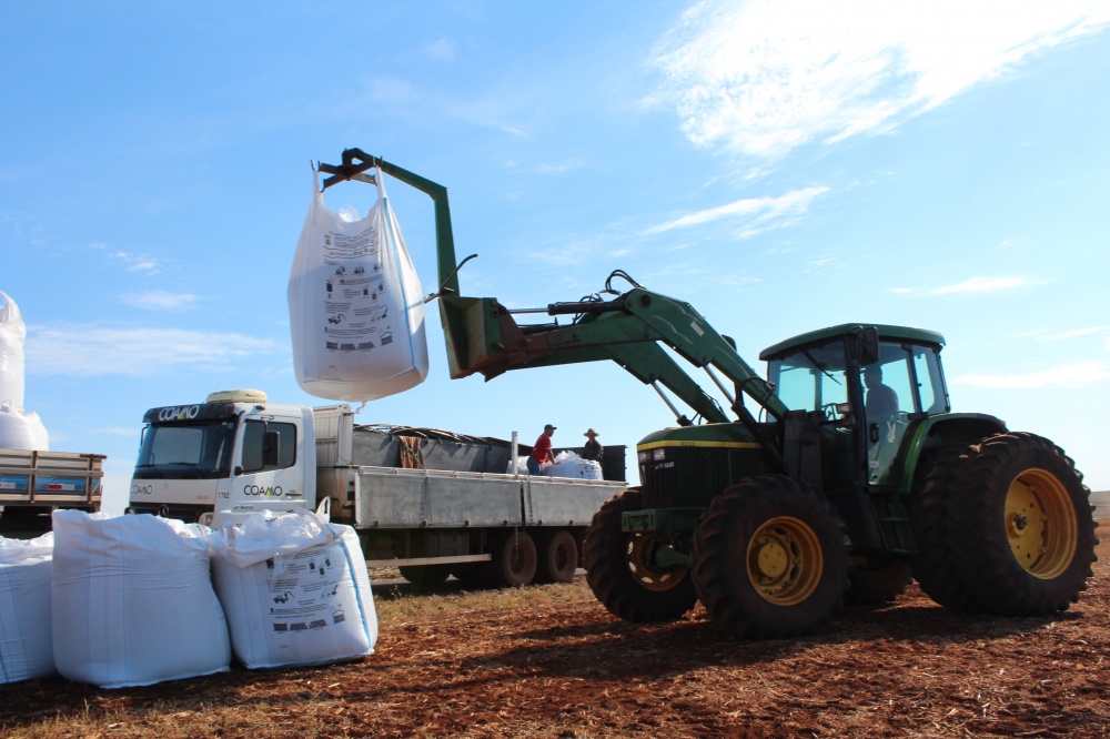Plantio começa a avançar nas lavouras do PR, mas está lento no MT | Ruderson Ricardo/gazeta Do Povo
