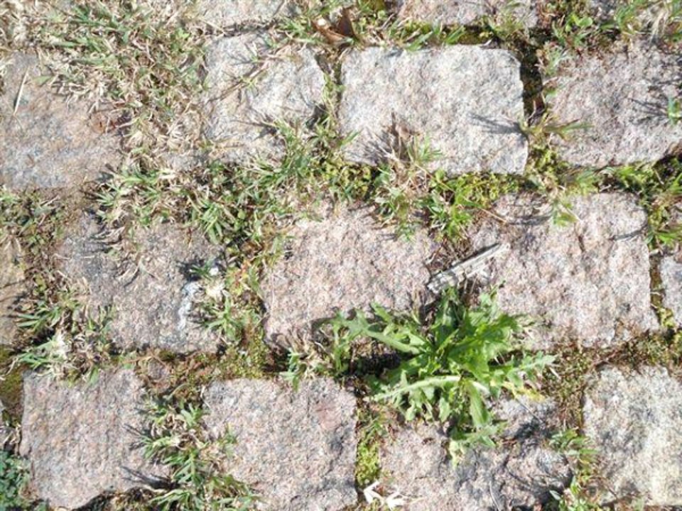  | Reprodução da internet