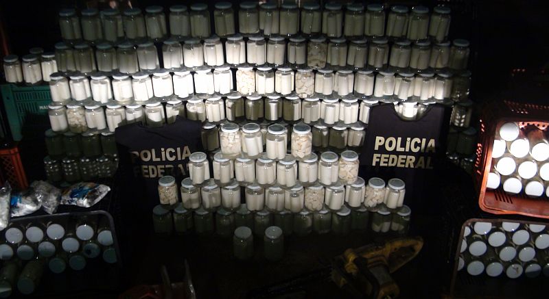 Segundo a PF, o palmito era industrializado de forma bastante artesanal, inclusive com a conservação do produto usando produtos químicos como ácidos e água sanitária | Polícia Federal/Divulgação