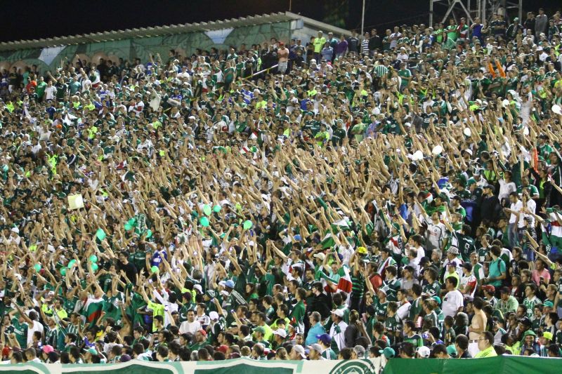 Torcida compareceu em bom número para acompanhar o Palmeiras em Londrina | Gilberto Abelha / Gazeta do Povo