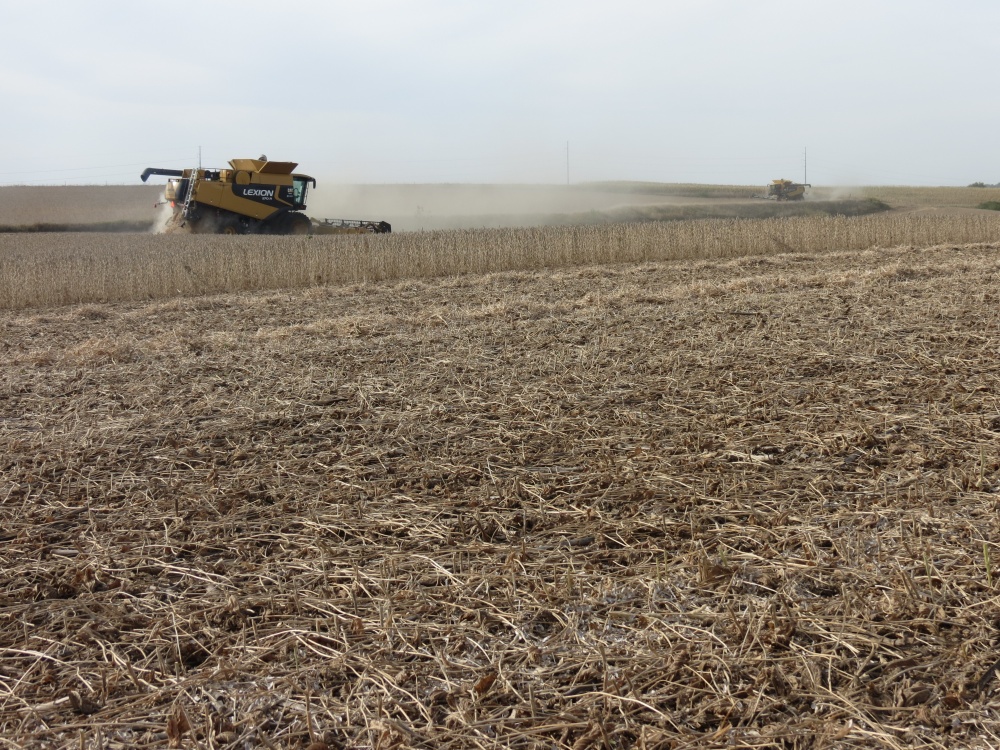 Trabalhos de retirada de grãos das lavouras norte-americanas devem ser prejudicados por chuvas previstas para o Meio-Oeste do país nesta semana. | Josa© Rocher / Gazeta Do Povo