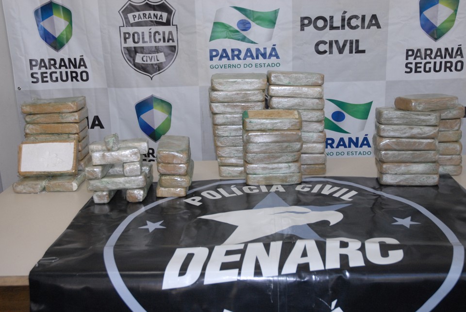 Droga apreendida em São Luiz do Purunã valeria quase R$ 1 milhão, segundo a polícia | Divulgação/Polícia Civil