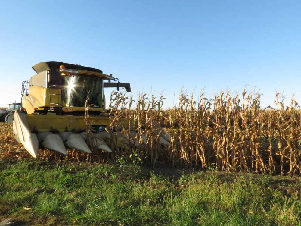 Máquinas chegam funcionar por até 14 horas para dar ritmo à colheita norte-americana | Josa© Rocher / Gazeta Do Povo