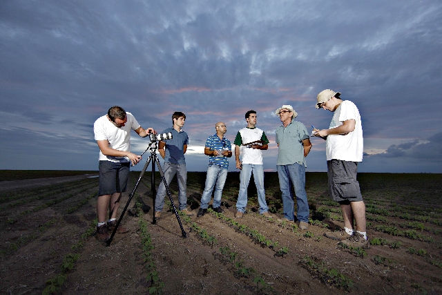 Equipes voltam a campo para avaliar potencial produtivo das lavouras de soja e milho dos principais estados produtores do país | Jonathan Campos/ Gazeta Do Povo