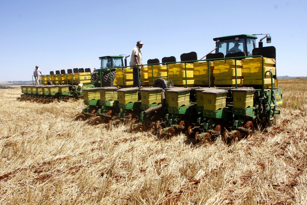 Mesmo com redução no terreno, estado do Centro-Oeste deve se manter na liderança da produção nacional | Hugo Harada / Gazeta Do Povo
