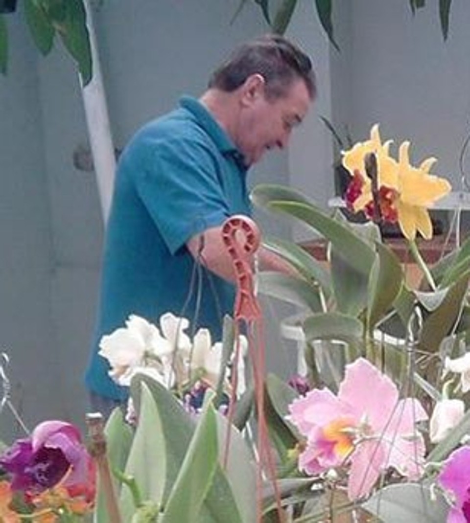  | Arquivo da família