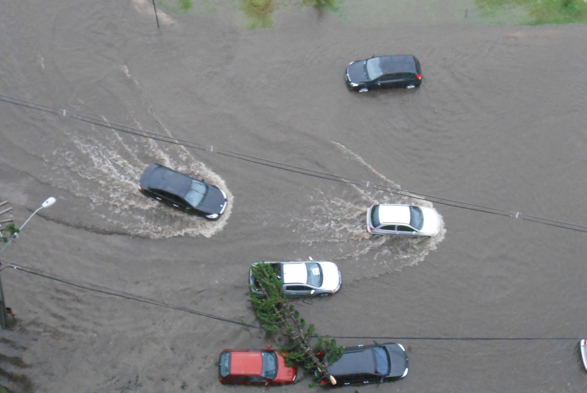Imagem cedida pela leitora: carros no Centro Cívico, em frente ao Palácio das Araucárias | Maria Lúcia Queiroz