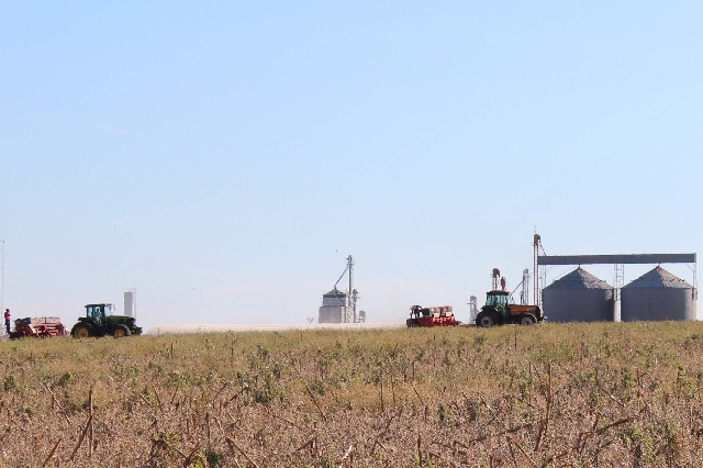 Plantio avança e cresce junto a produção do Cone-Sul | Ruderson Ricardo/gazeta Do Povo