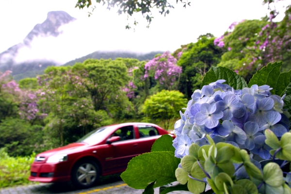 | Katie Muller/ Gazeta do Povo