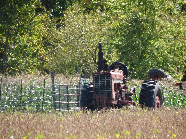  | Josa© Rocher/gazeta Do Povo