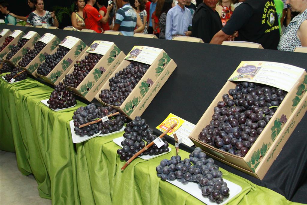 Normalmente realizada em dezembro, Festa da Uva de Marialva deve ser adiada para o ano que vem | Divulgação/Prefeitura de Marialva