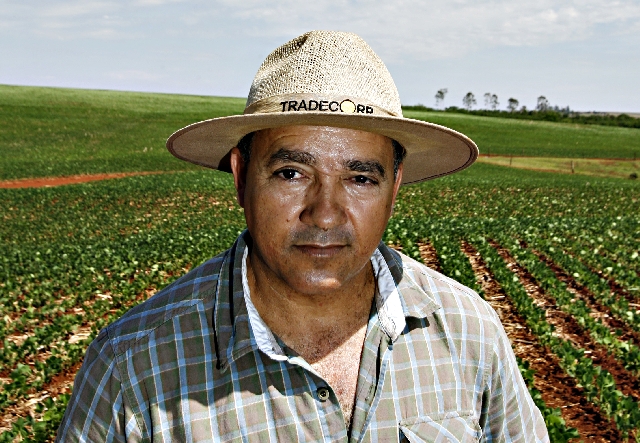 O gerente Laércio Lenz prefere testar novas variedades antes de elevar apostas | Josua© Teixeira/gazeta Do Povo