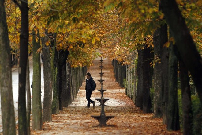 O arquiteto Manoel Coelho, na Boca Maldita, um dos lugares preferidos da cidade |