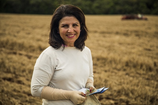 Celi Mattei, de Coxilha, vai concluir plantio após precipitações desta semana | 