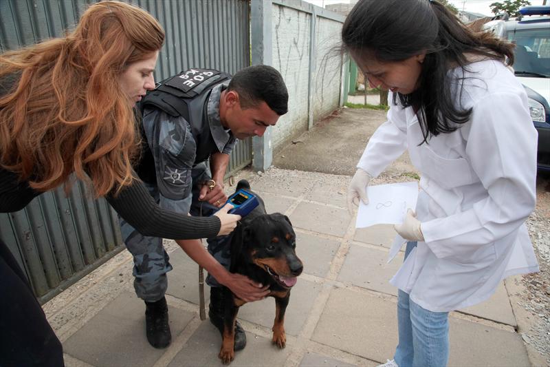 Cães são microchipados antes de sair do local. Ação foi conjunta entre Rede de Proteção Animal da Secretaria Municipal de Meio Ambiente em parceria com a Sociedade Protetora dos Animais | Jaelson Lucas / SMCS