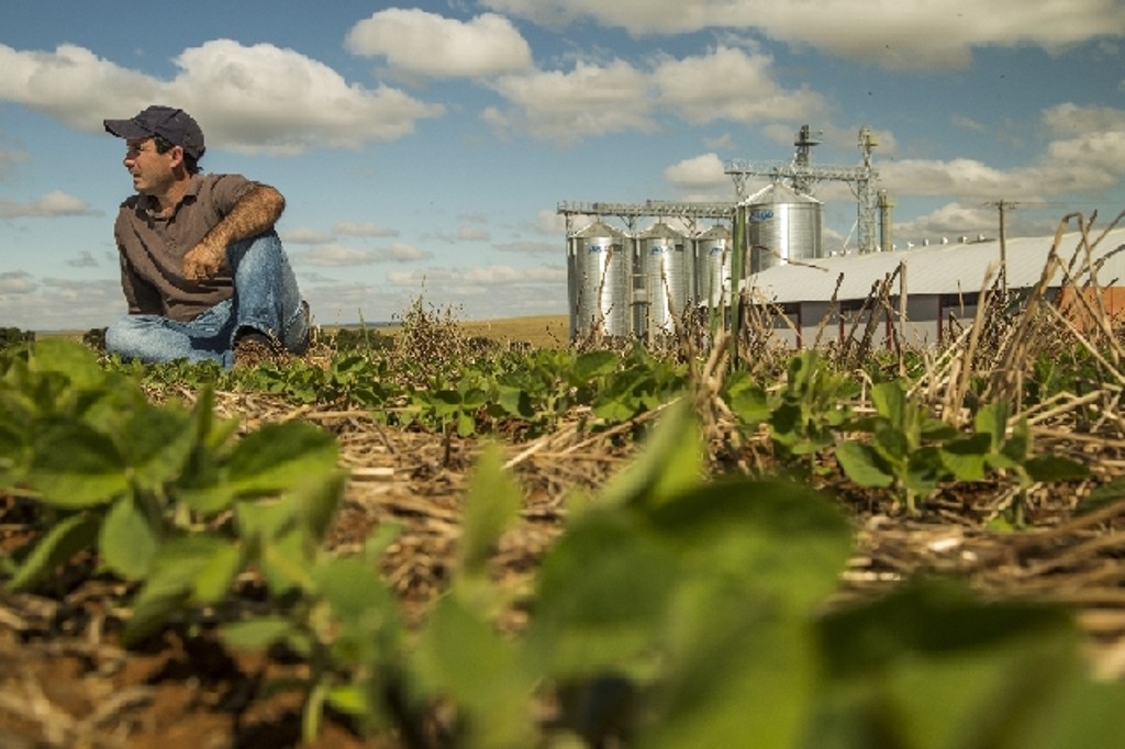 Everson Guerra, do Oeste de Santa Catarina, diz que a safra de soja vai crescer por aumento de área e de produtividade