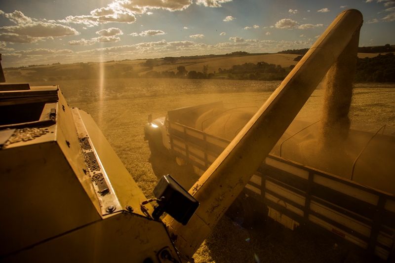 Precipitações devem chegar nas próximas horas no Rio Grande do Sul. | Marcelo Andrade/gazeta Do Povo