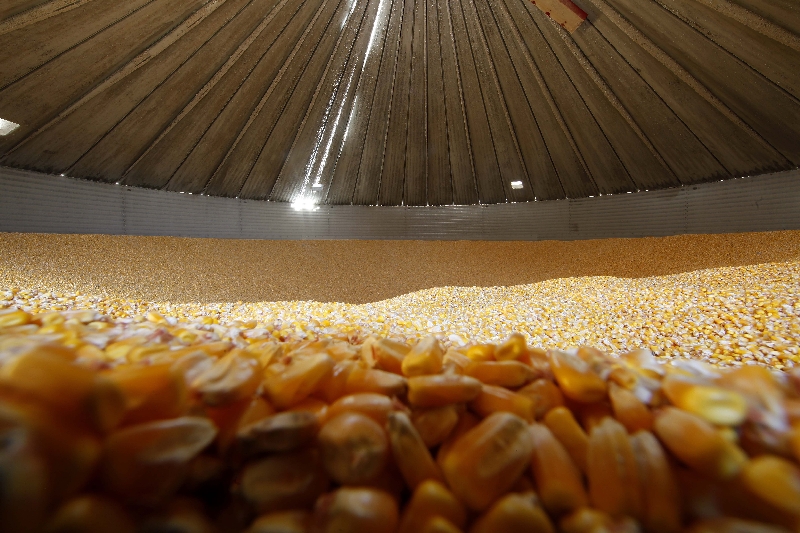 Escoamento de grãos precisará ser agilizado para compensar falta de armazéns | Jonathan Campos/ Gazeta do Povo