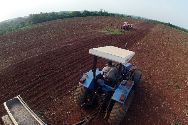| Albari Rosa/gazeta Do Povo