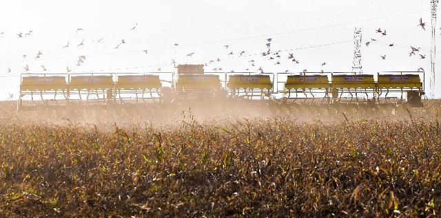 Plantadeira de 50 linhas consegue percorrer 100 hectares por dia. Trabalhos ganham ritmo em outubro. | Hugo Harada/gazeta Do Povo