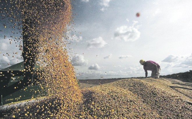 A commodity do verão: previsão de colheita de soja foi novamente revisada para cima e agora é calculada em recordes 90,3 milhões de toneladas |