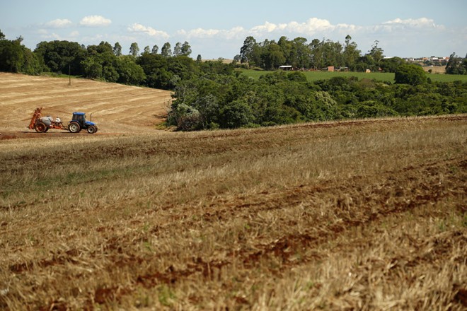Terra pronta em Santa Tereza do Oeste (PR) | 
