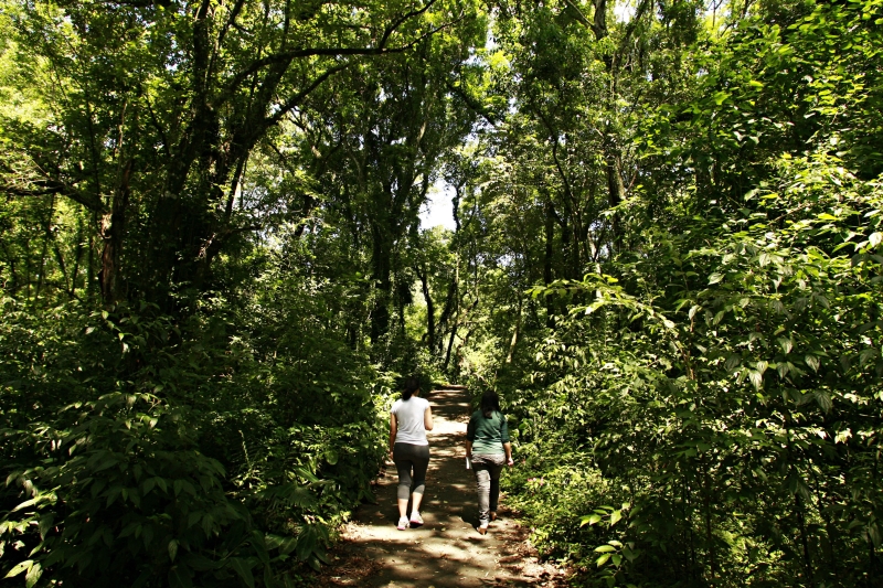 | Josué Teixeira/ Gazeta do Povo