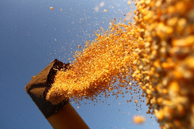 Mercado brasileiro segue ocupando espaço deixado pelos EUA | Roberto Custa³dio/gazeta Do Povo