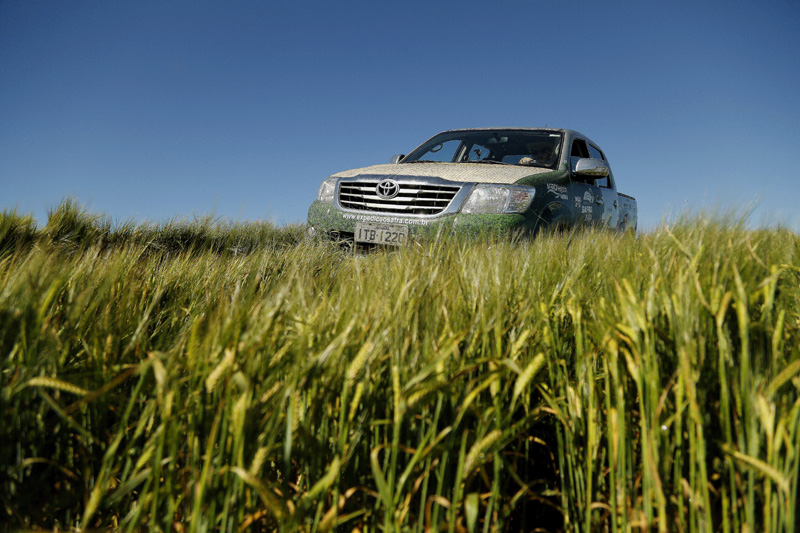 Roteiro verde | Marcelo Andrade/gazeta Do Povo