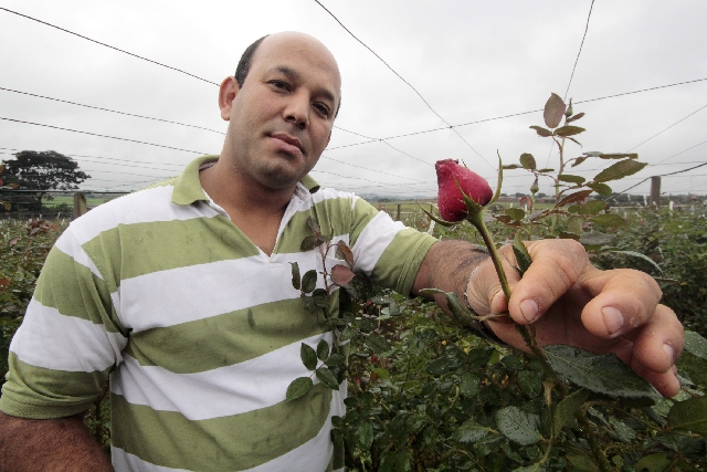 Emerson do Couto: 22 estufas para o cultivo de flores em uma chácara em Marialva, no Noroeste do estado | Ivan Amorin / Gazeta Do Povo