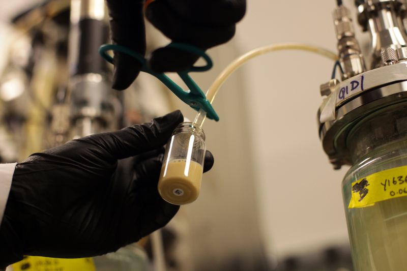 Defensores dizem que a biologia genética pode reduzir oscilações de preço e assegurar qualidade na agricultura | Jim Wilson/The New York Times