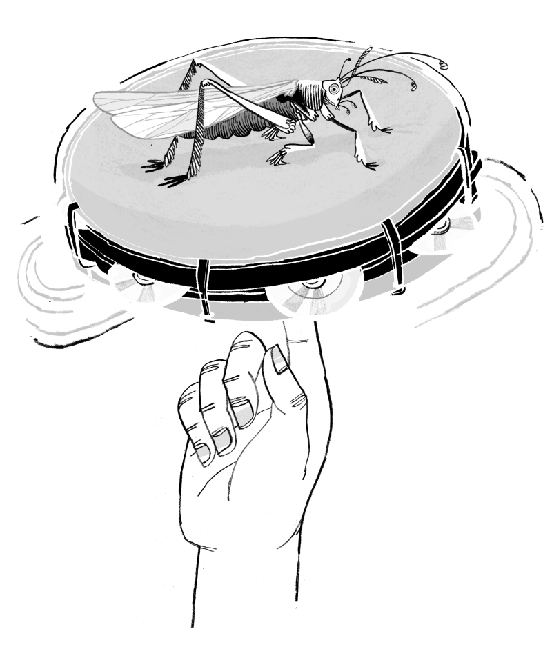  | Ilustração: Felipe Lima