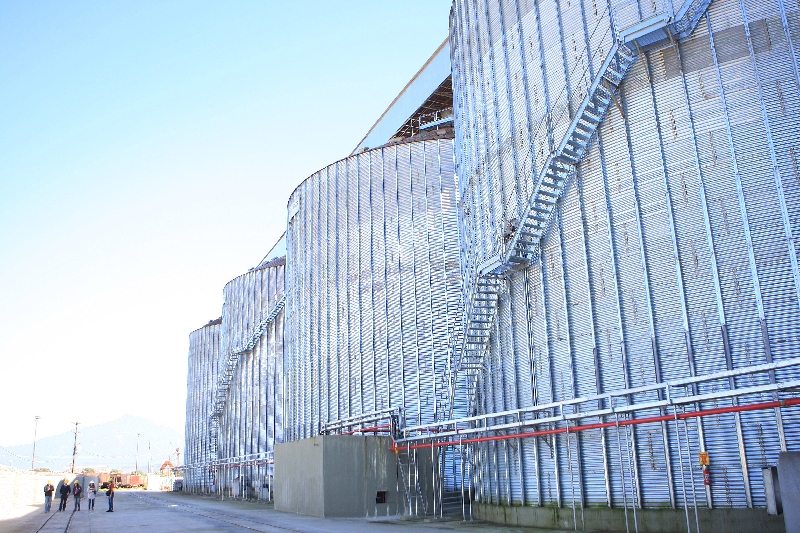 Proibida de exercer funções de operação no porto, a Appa se comprometeu a não contratar mais serviços de limpeza | Ivonaldo Alexandre/ Gazeta do Povo