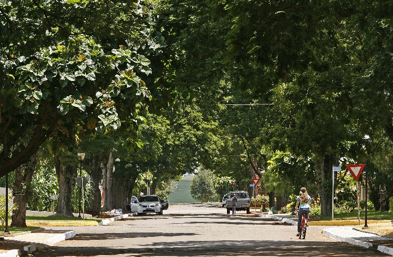 Rua de Quatro Pontes, no Oeste do Paraná: embora pequena, cidade foge à regra e é a que tem o 3º melhor IDH do estado | Hugo Harada/ Gazeta do Povo