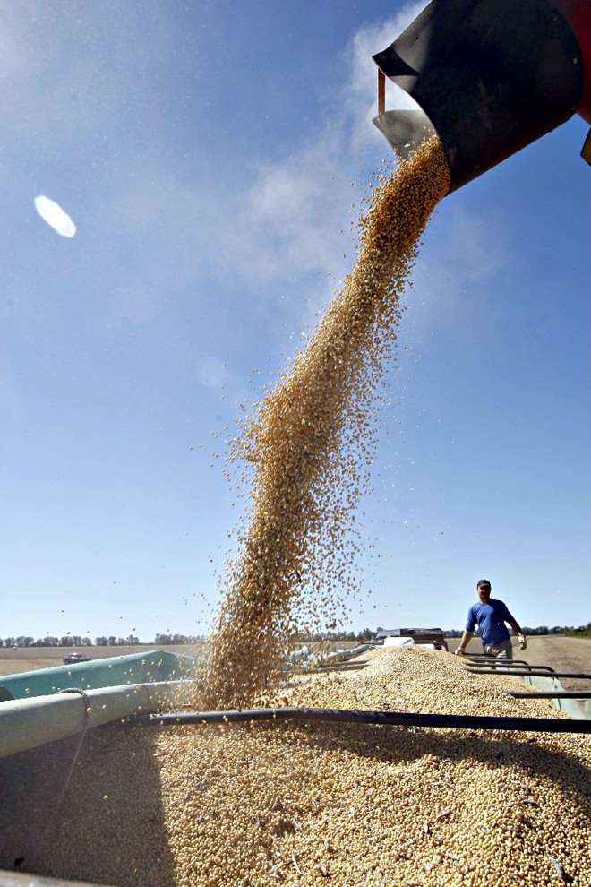 Pampas argentinos: em 18 anos a produção no país avançou 384% ao chegar perto de 60 milhões de toneladas |