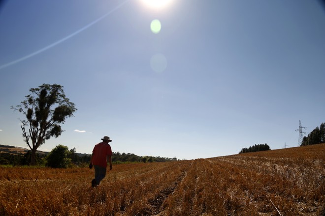 Manhã na roça em Pato Branco | 