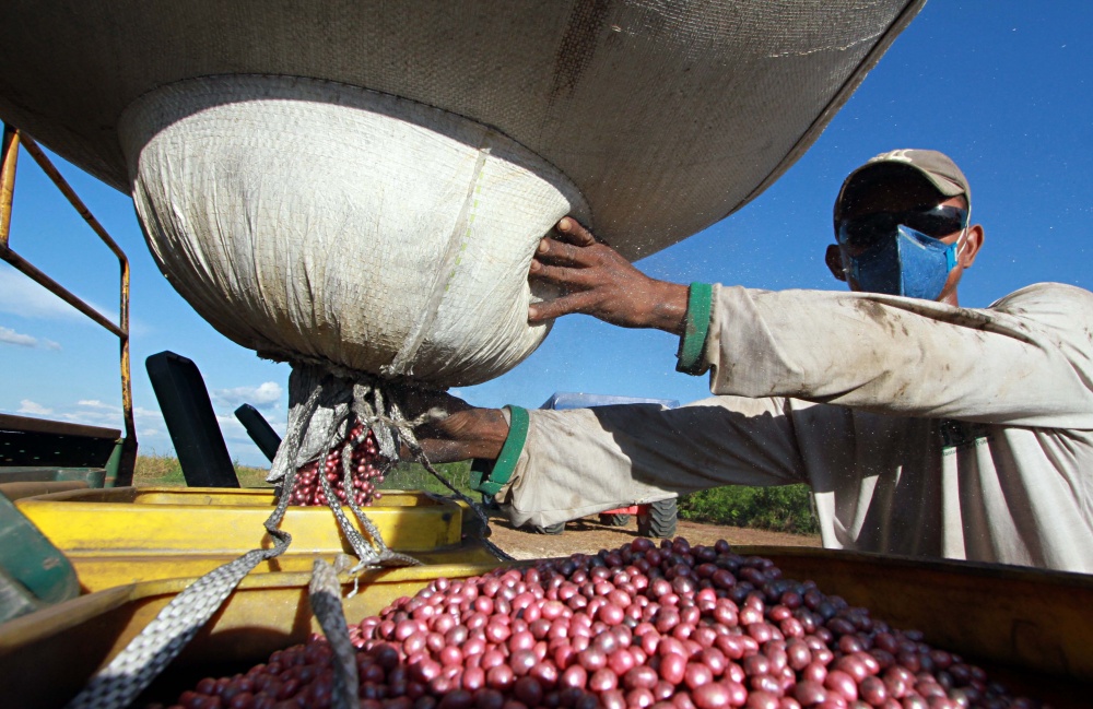 Na Fazenda Vereda, em Goiatins, trabalhador carrega plantadeira que entra na metade final do cultivo de 4,3 mil hectares de soja. | Christian Rizzi/gazeta Do Povo