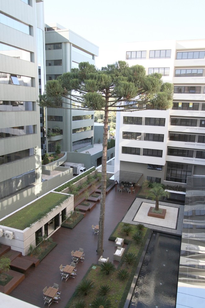 No Infinity, da Cyrela, elementos verdes e estruturas com água estão na área central do condomínio. Um pinheiro foi mantido no terreno e faz parte do cenário |