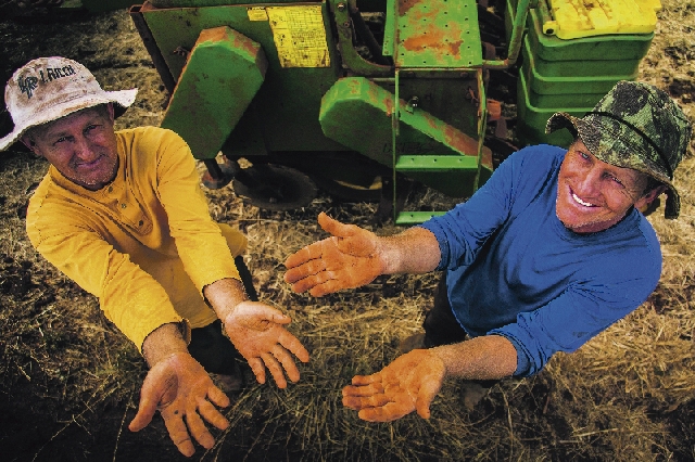 Todo verão é da soja nos retalhos de terra cultivados por Lauri (de amarelo) e Odilo Ziegler, às margens do Rio Santa Rosa, no Rio Grande do Sul | Marcelo Andrade/gazeta Do Povo