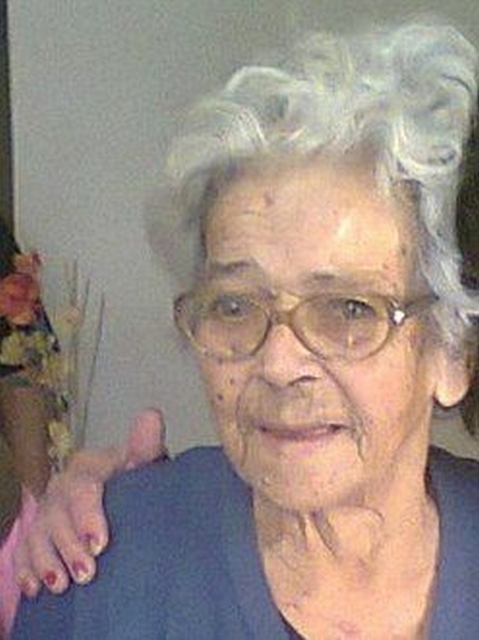 Violetas e orquídeas | Arquivo da família