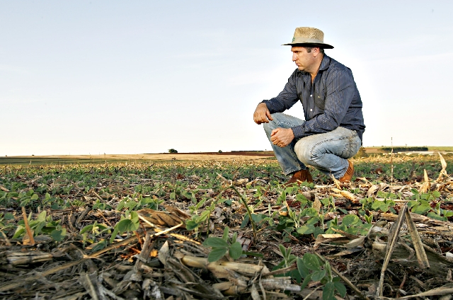 Agricultor Matias Knoor, de Rolândia (Norte), já fez aplicações para combater lagartas | Josua© Teixeira/gazeta Do Povo