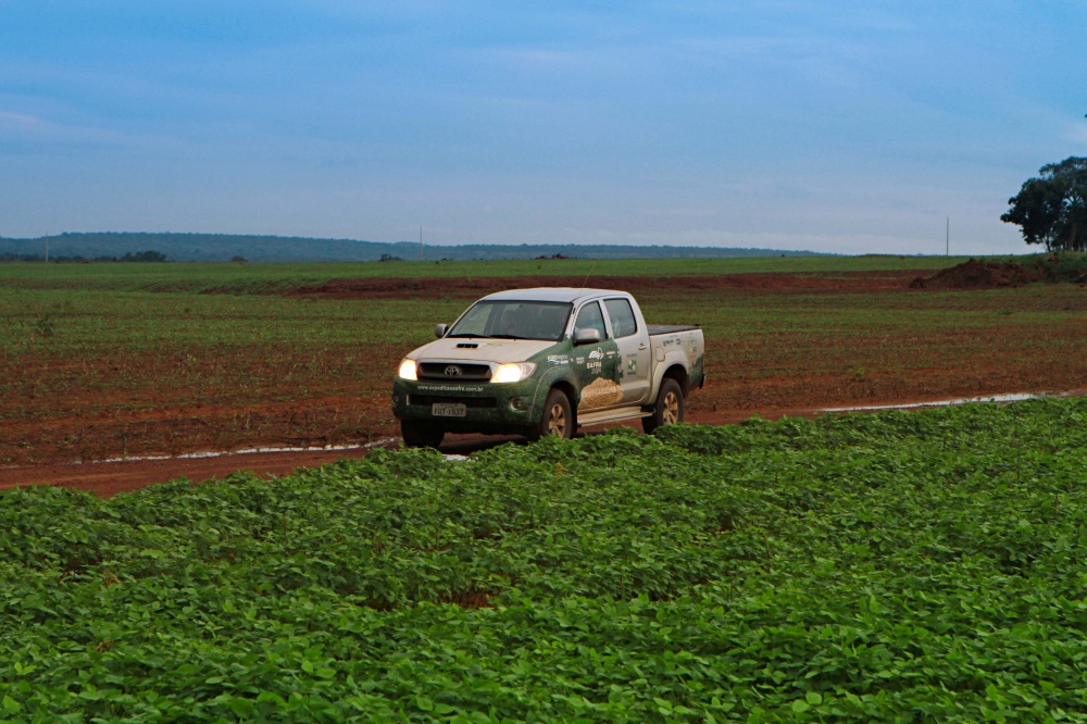 Equipe da Expedição chega ao polo de produção de Pedro Afonso, onde a soja ganha espaço sobre pastagens. | Christian Rizzi/gazeta Do Povo